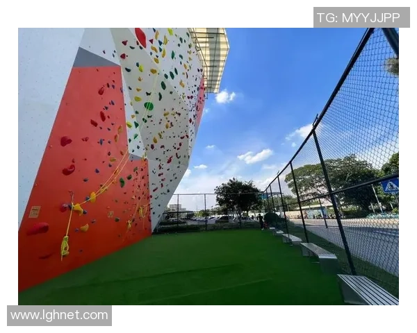 广州攀岩队比赛经验分享与技巧探讨助力攀岩爱好者成长 广州攀岩队比赛经验分享与技巧探讨助力攀岩爱好者成长