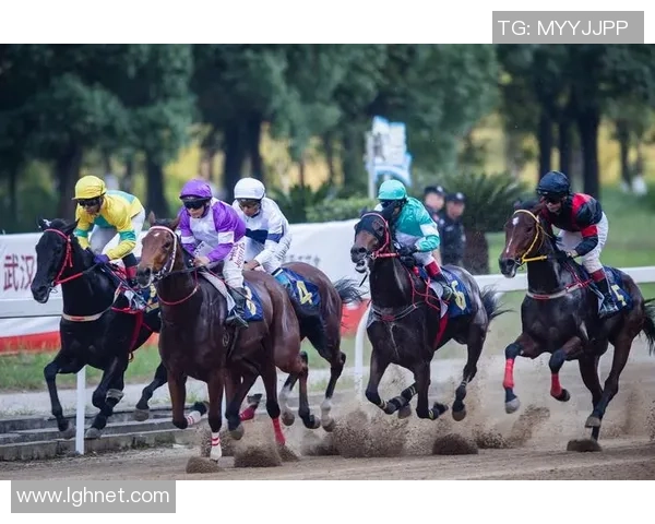 武汉羽毛球队的速度之谜:揭开羽毛球巨献的秘密与魅力 武汉羽毛球队的速度之谜:揭开羽毛球巨献的秘密与魅力