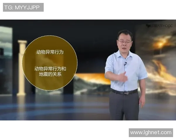 西安网球队的运营揭秘与发展策略深度分析 西安网球队的运营揭秘与发展策略深度分析